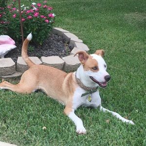 Meet your Posher, London